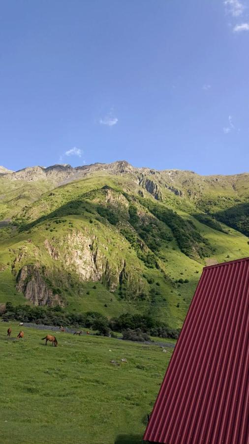 קזבגי Mountain Flower Cottage מראה חיצוני תמונה